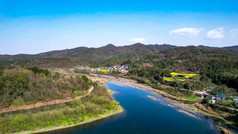 山川河流油菜花