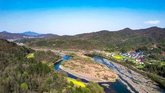 山川河流油菜花