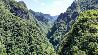 深山山谷湖北神农架神农谷 大自然