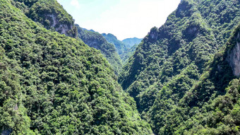 <strong>深山</strong>山谷湖北神农架神农谷 大自然