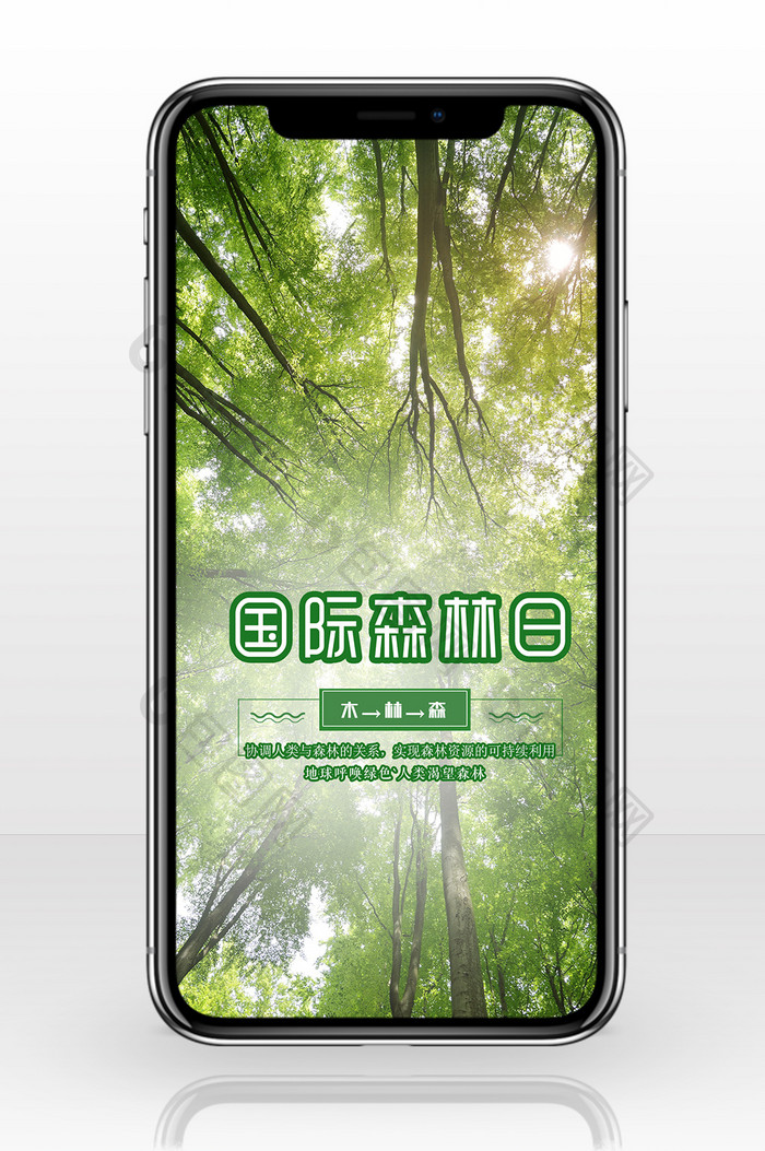 大气国际森林日手机海报