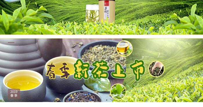 春茶节绿茶清新绿色海报