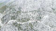 航拍冬天森林雪景