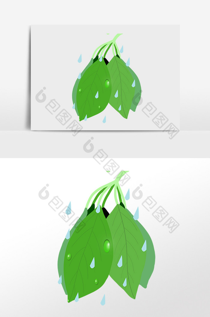 手绘绿叶雨水插画