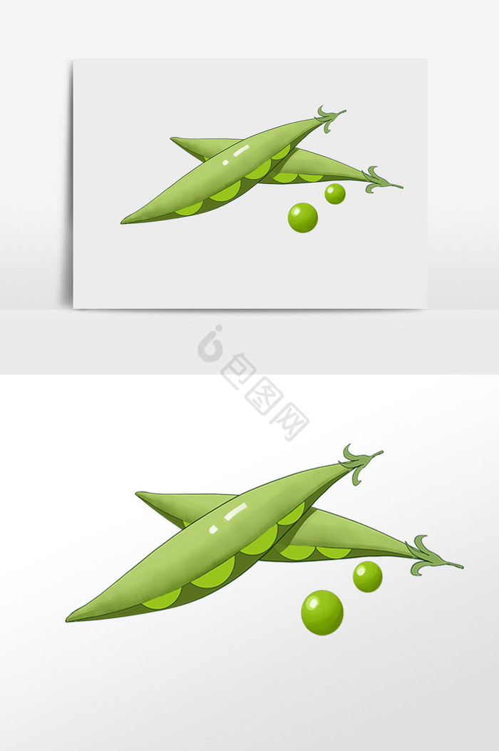 豌豆插画图片