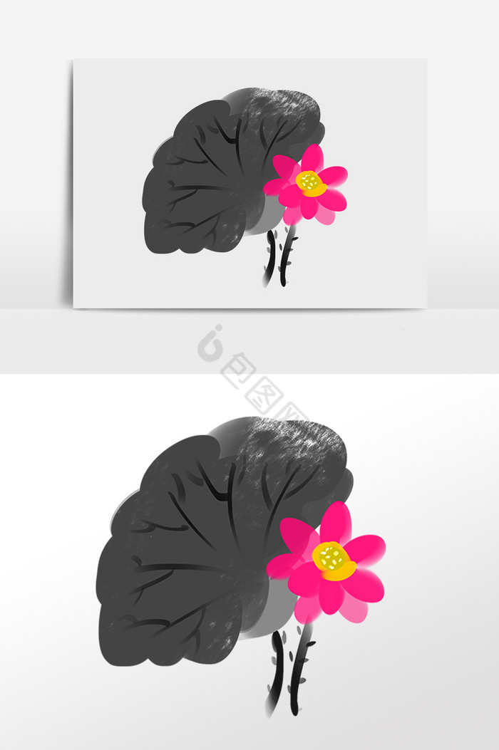 水墨植物红花朵插画图片