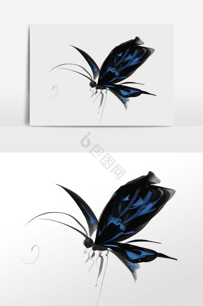 蝴蝶昆虫插画图片