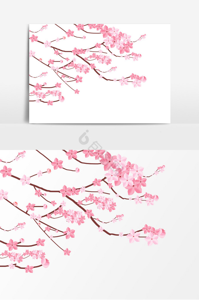 春季桃花盛开樱花节图片
