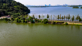 湖中唯美步道武汉东湖景区航拍