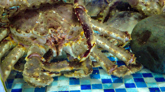 活体新鲜海鲜螃蟹龙虾帝王蟹石斑鱼乌龟
