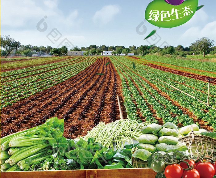新疆农产品特产海报