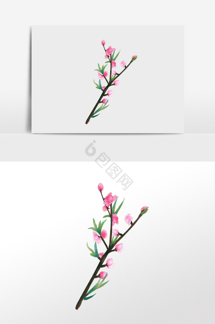 春天植物桃花枝插画图片