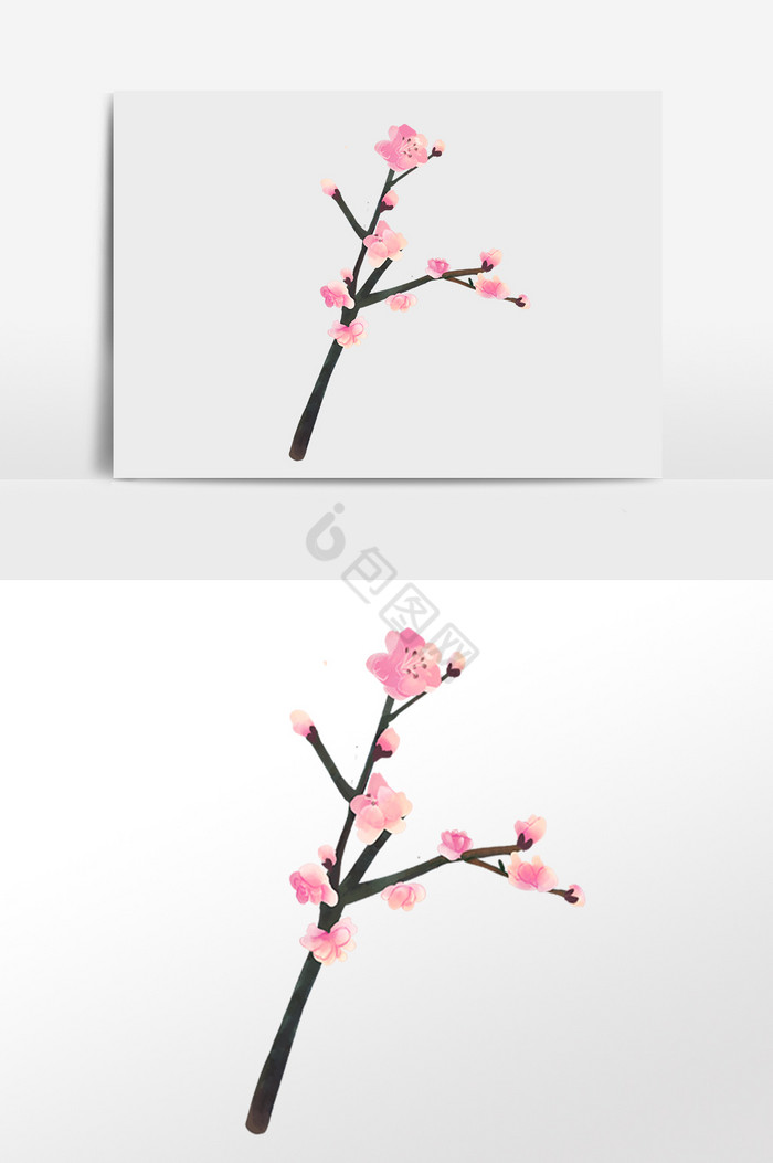 春天植物粉桃花枝插画图片
