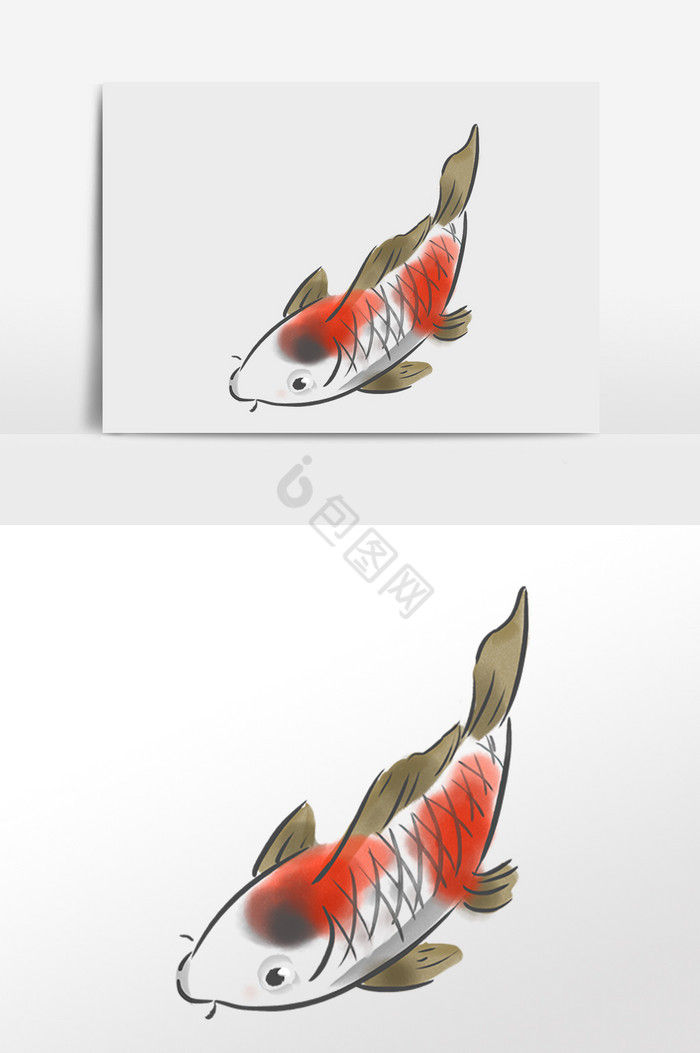 水墨锦鱼插画图片