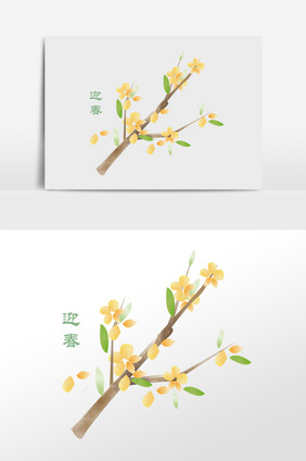 手绘迎春植物花枝插画