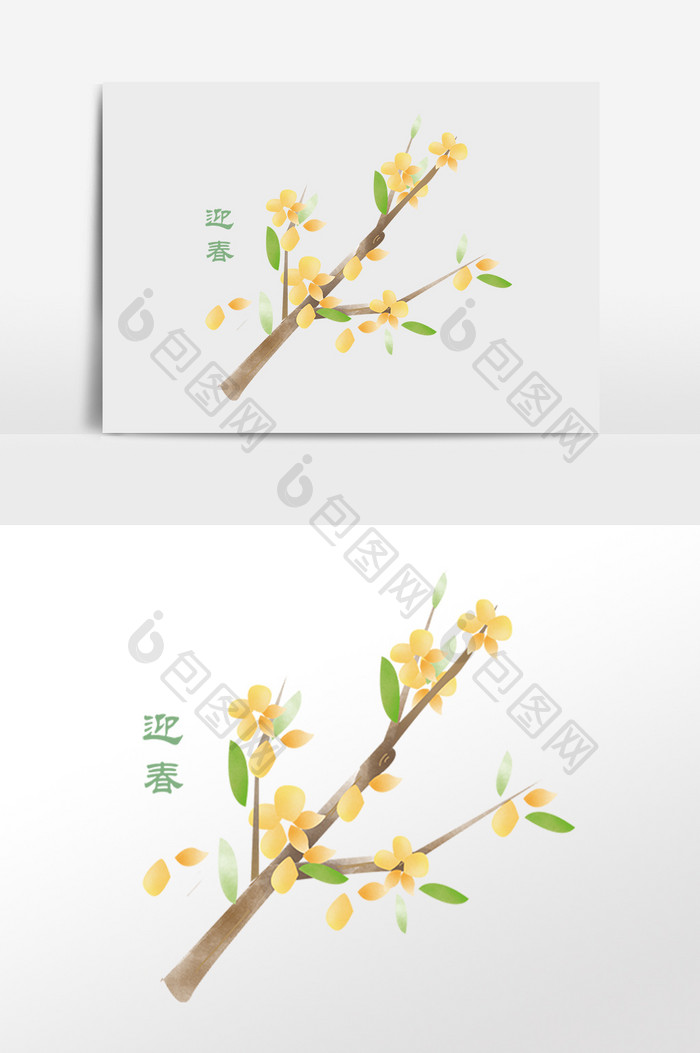 手绘迎春植物花枝插画