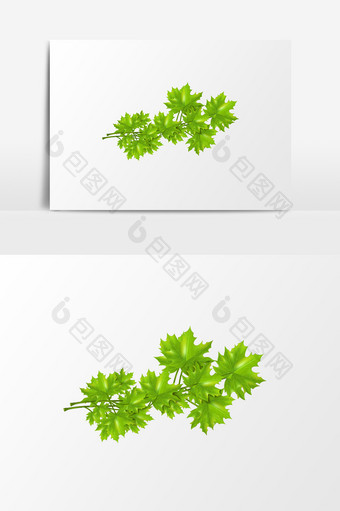 绿色质感写实树叶春天清新装饰通用元素图片