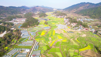 美丽乡村农业种植油菜花农作物航拍