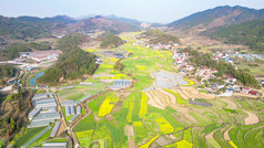 美丽乡村农业种植油菜花农作物航拍