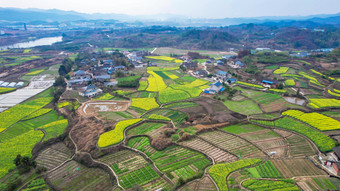 美丽乡村田园农业种植油菜花航拍