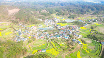 美丽乡村田园乡村振兴农业种植航拍