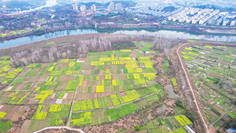 美丽乡村田园<strong>油菜花</strong>种植航拍