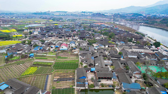 美丽乡村田园油菜花种植航拍