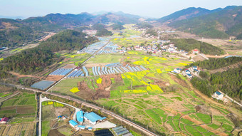 南方美丽乡村田园油菜花种植航拍