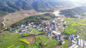 南方美丽乡村田园<strong>油菜花</strong>种植航拍