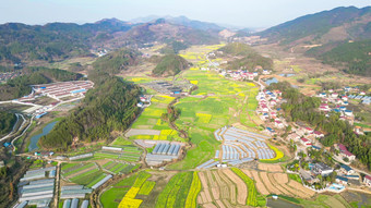 南方美丽乡村田园<strong>油菜花</strong>种植航拍