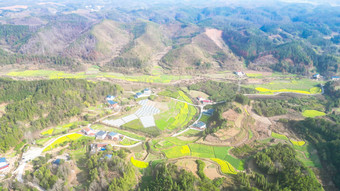 南方美丽乡村田园<strong>油菜花</strong>种植航拍