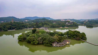 鸟群鸟岛惠州<strong>西湖航拍</strong>