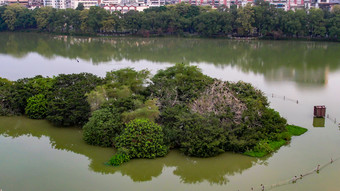 鸟群鸟岛惠州<strong>西湖航拍</strong>