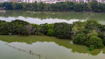 鸟群鸟岛惠州<strong>西湖航拍</strong>