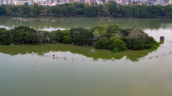 鸟群鸟岛惠州<strong>西湖航拍</strong>