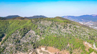 清明节扫墓墓地陵园航拍