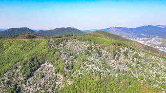 清明节扫墓墓地陵园航拍