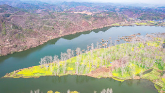 山川河流岛屿油菜花风景航拍