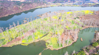 山川河流岛屿油菜花风景航拍