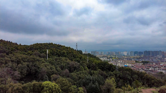 山中植物小路