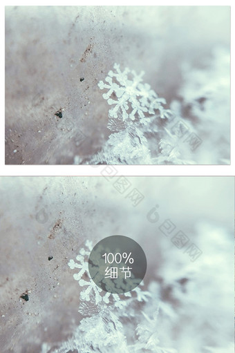 清新冷色调冬天的初雪摄影图片