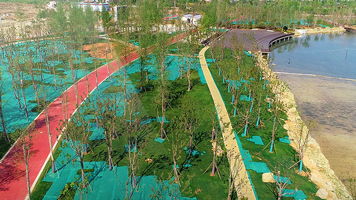 航拍清华海公园绿化超清视频素材