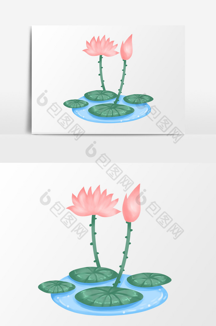 荷花水池小图片图片