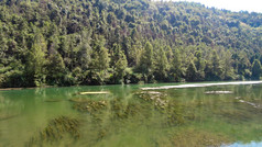 自然风光小桥流水风景