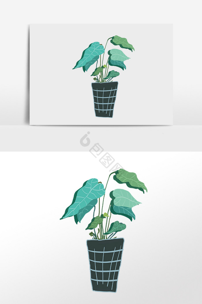 盆栽绿植植物花插画图片