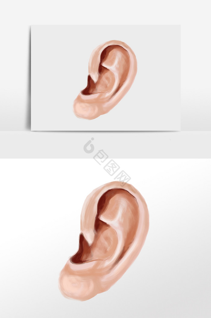 人体器官耳朵插画图片