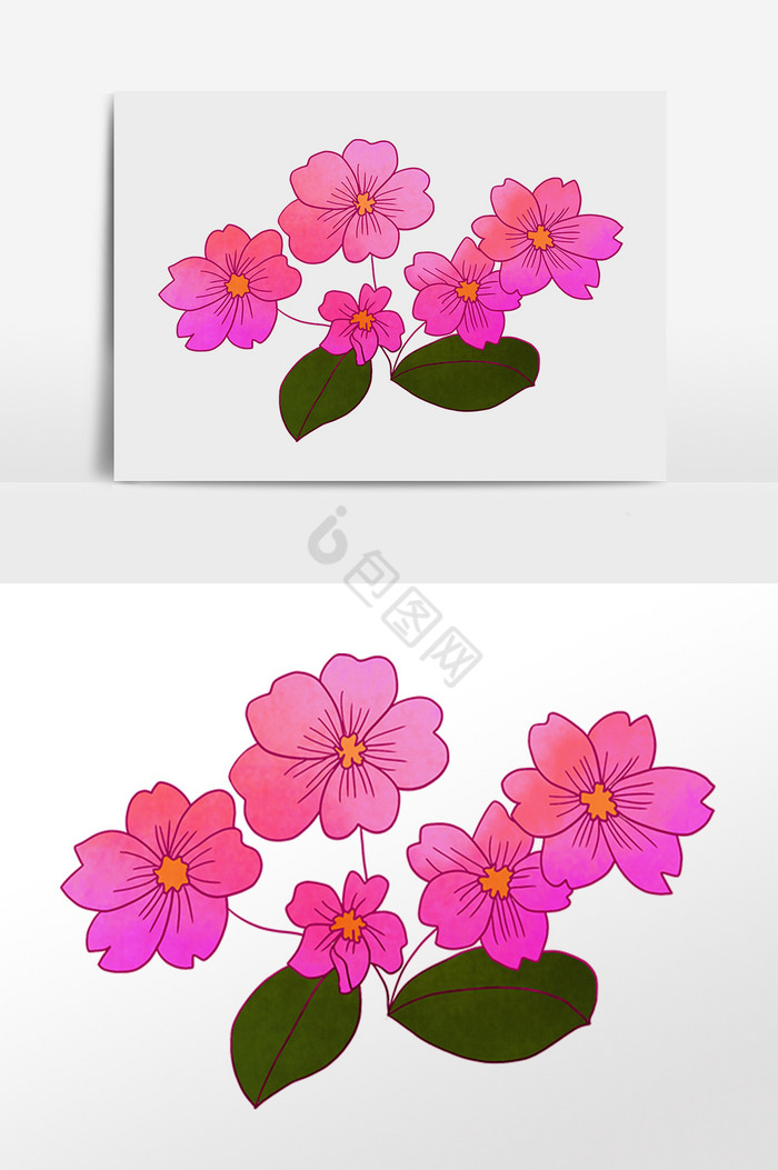 水墨植物小花花朵插画图片