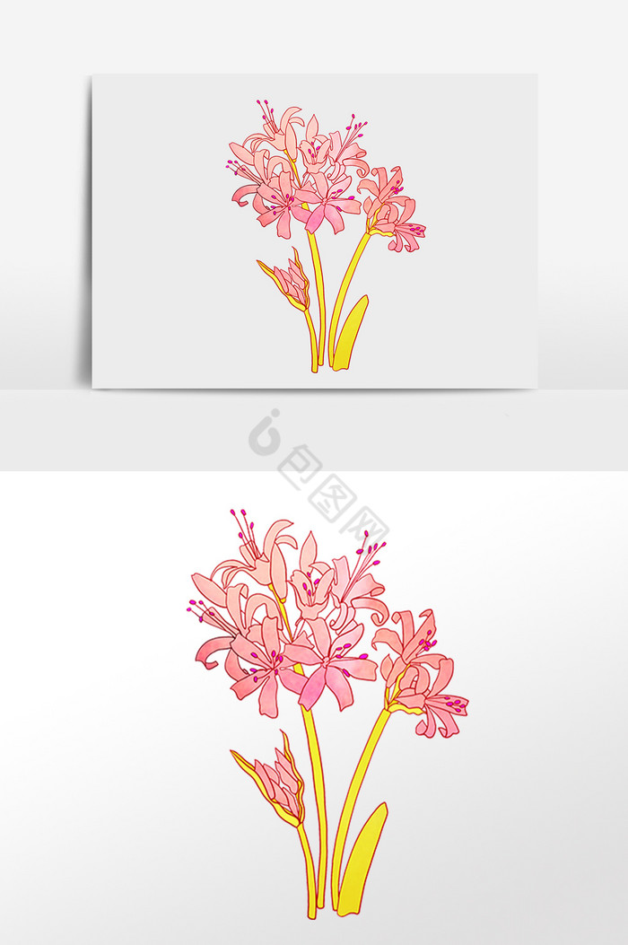 水墨植物花朵插画图片