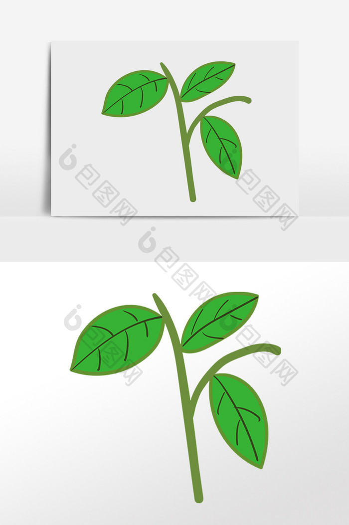 手绘绿植植物枝叶插画