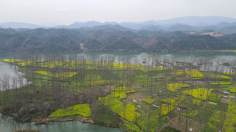 航拍春天乡村田园<strong>油菜花</strong>